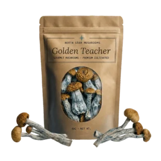 Golden Teacher — Dried Magic Mushrooms